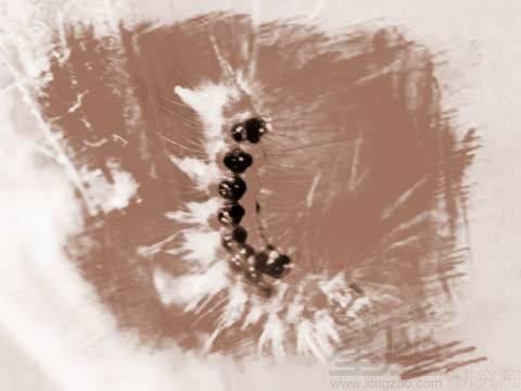 梦境解析，梦见大白蛇紧追不舍，缠绕在身的深层含义