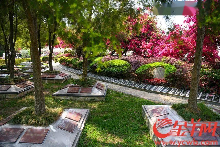 广东清明节返乡祭扫不需做核酸检测但这四类人员不可参加祭扫