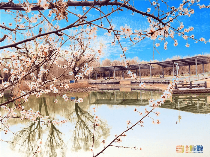 踏青赏春，北京这个公园已经美成桃源仙境，关键还免费！