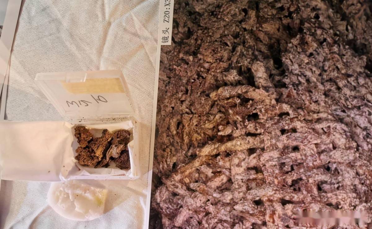 汉字博物三星堆的丝绸震惊世界丝及相关汉字是什么生活画面