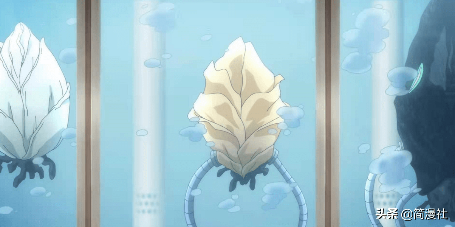 奇蛋物语这部即将封神的原创动画能否揭秘少女死亡的真相