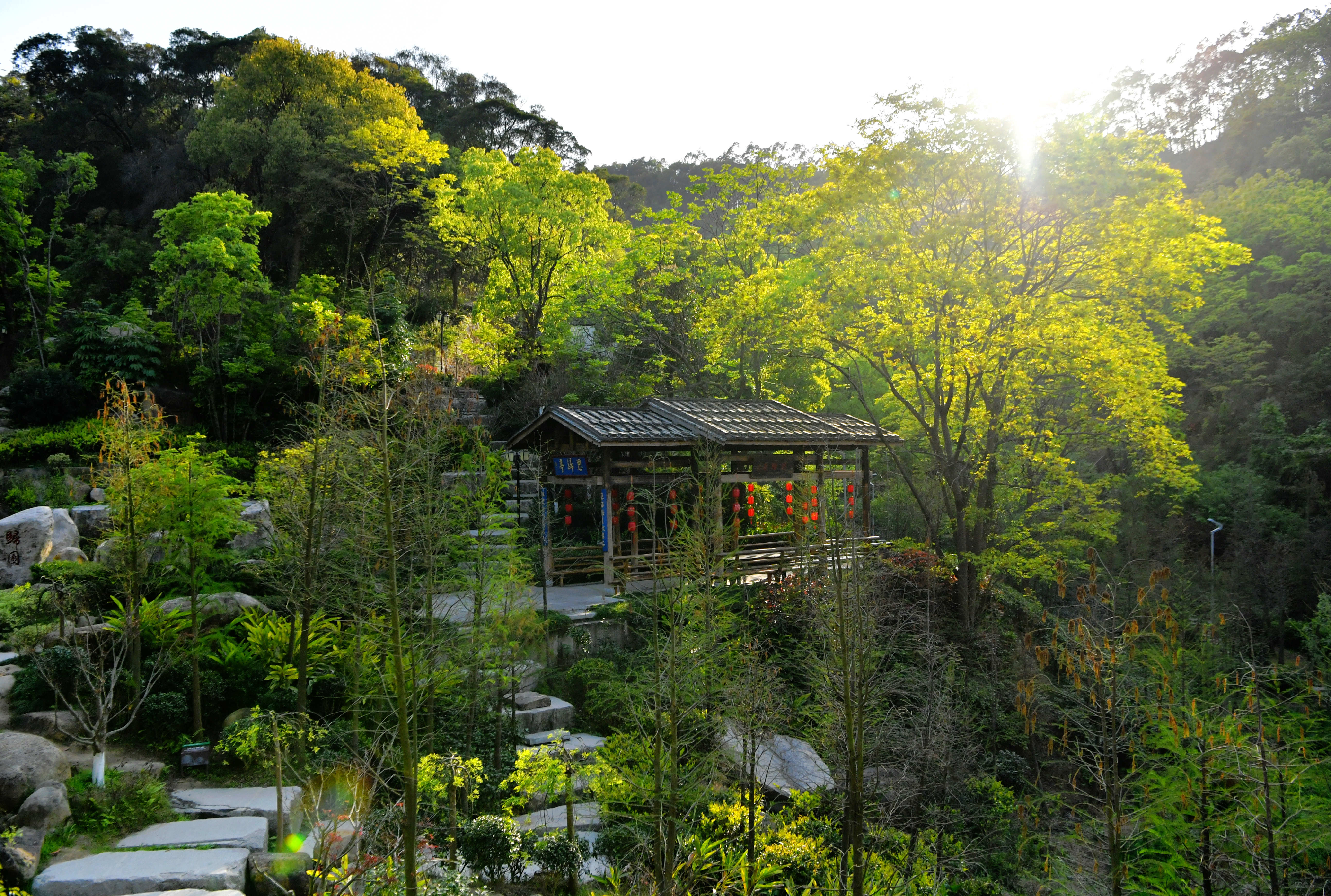 福州:逛福山郊野公园 赏森林城市美景