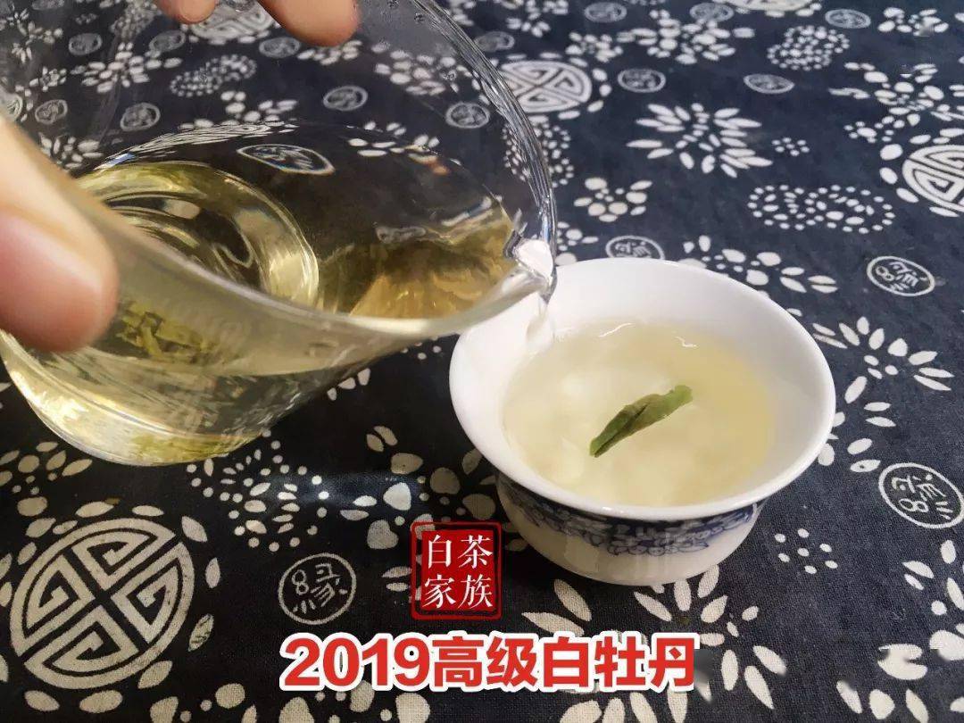 白茶排名_安吉白茶(3)