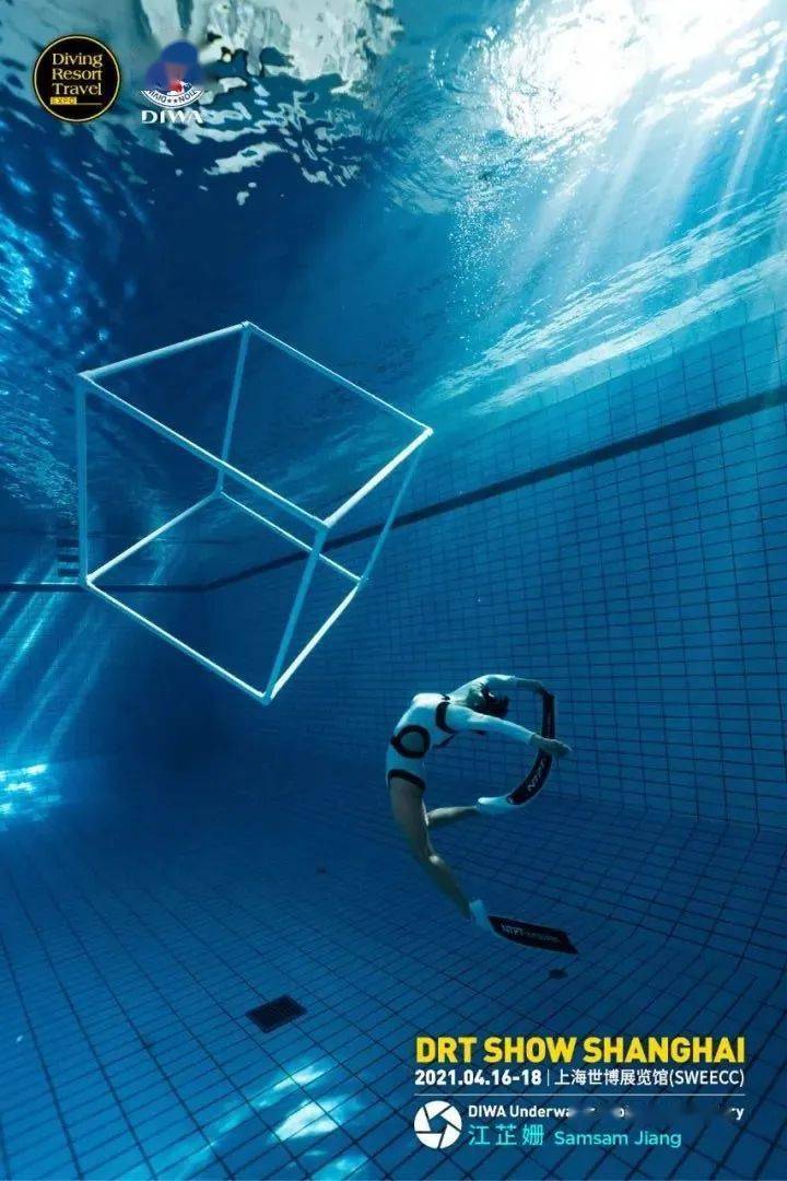 diwaunderwaterphotographygallery水下摄影艺廊