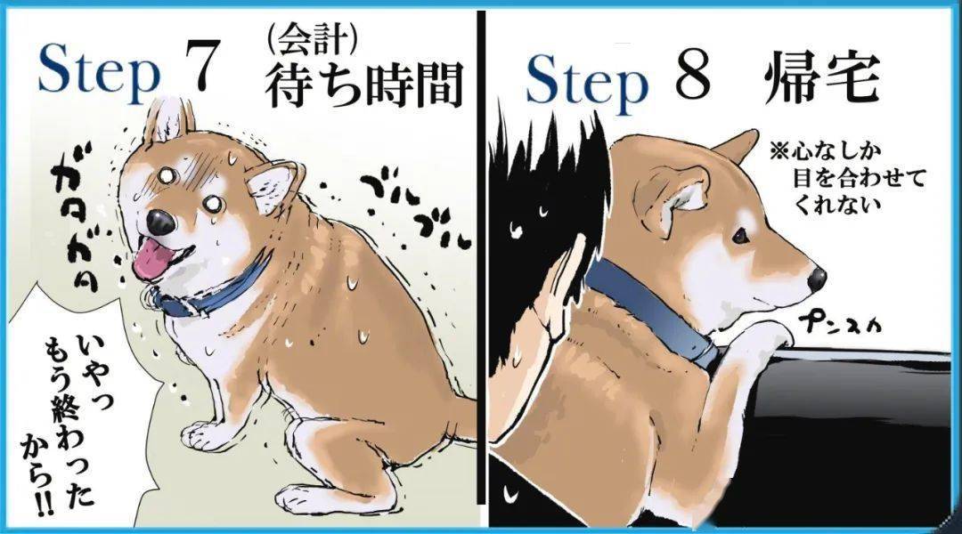 a6df56cda75141678e0f662de191c0a9.jpeg