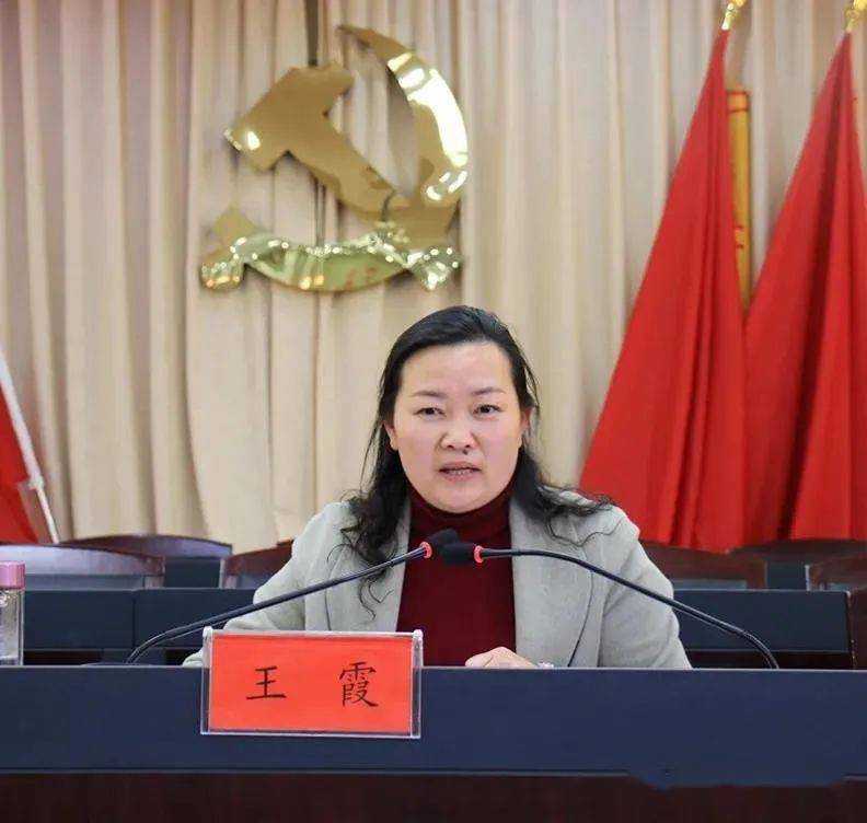 县委常委,宣传部长王霞出席会议.新蔡县党史学习教育工作推进会召开