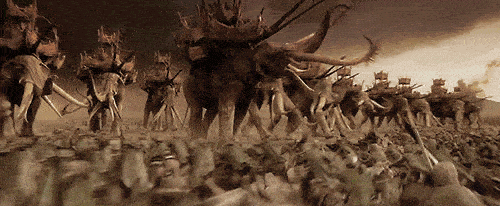 500_206gif 动态图 动图