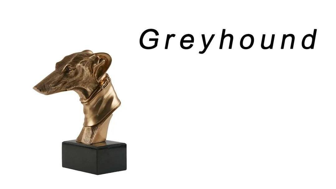 greyhound e73700d8d027403aaa2299683c16d730.jpeg