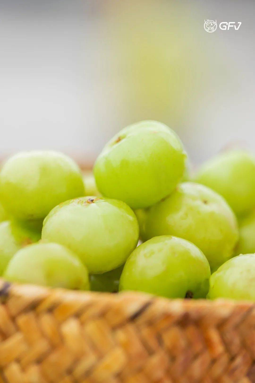 奈雪【潮汕水果茶】,66颗做一瓶,这杯新茶可真行!_油柑