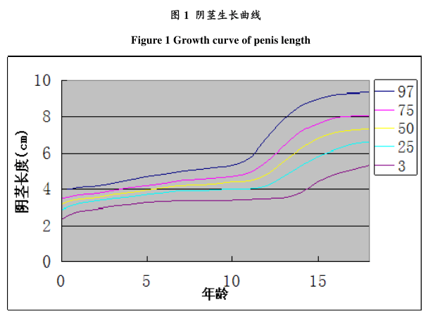 男生JJ发育示意图图片