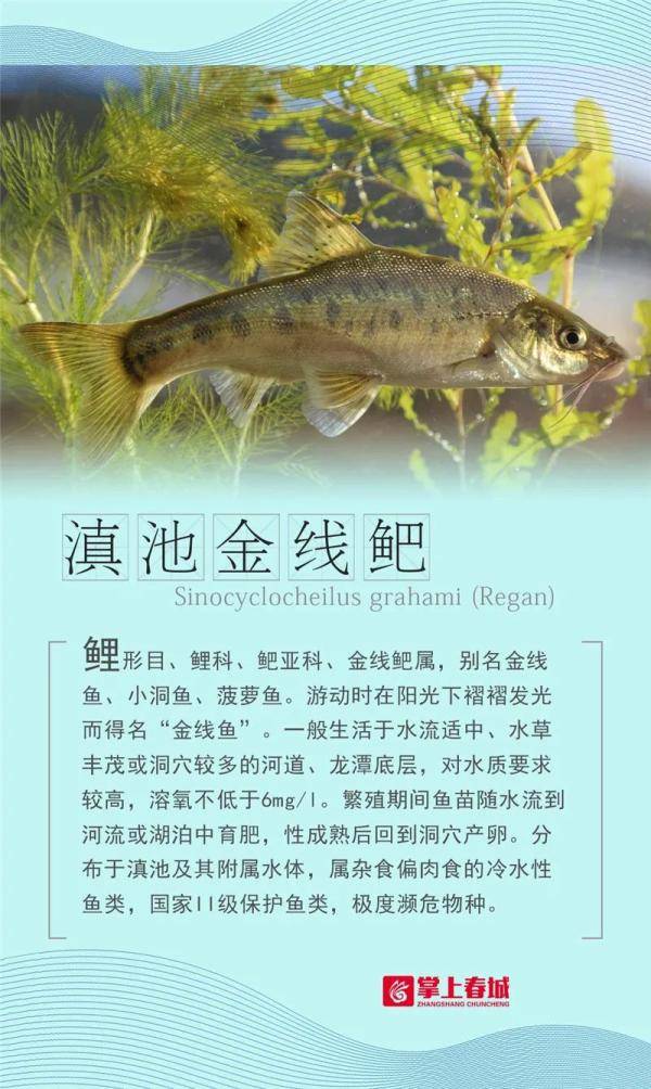 光明网2021-03-25 13:20