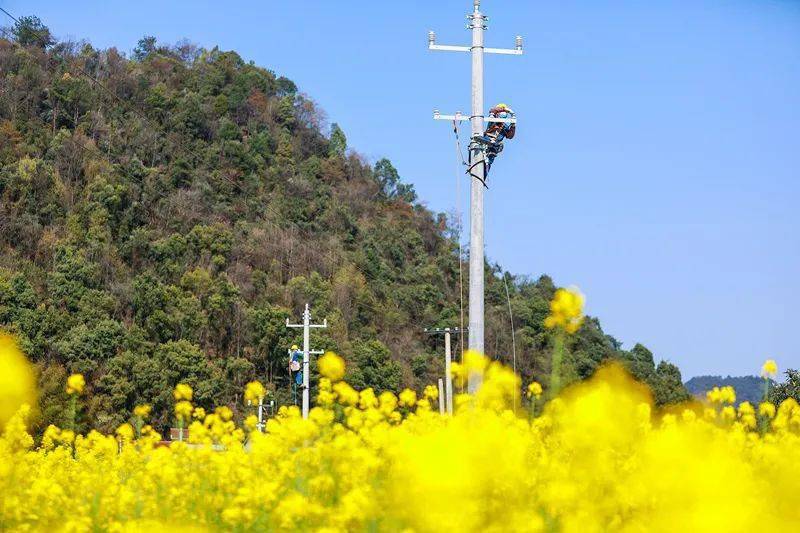 老河口仙人渡总人口_老河口仙人渡景点