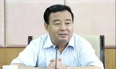 史文清被开除党籍！_严重