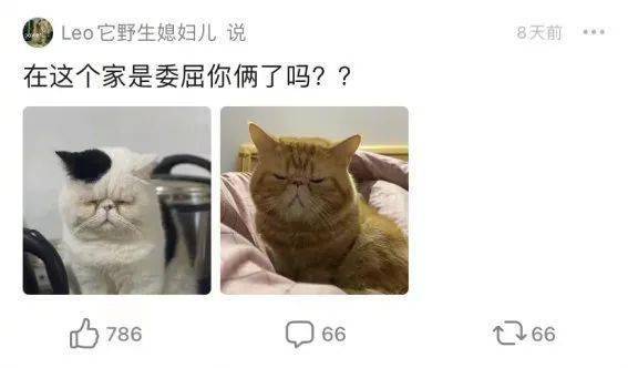 屎是黑的是怎么回事啊 725775a9516d42d48540196d734885fd.jpeg