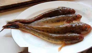 经山历海在日照吃最鲜的美食