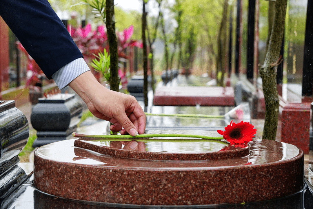【文明健康绿色环保】文明祭扫,绿色环保,让清明节更"清明"!_祭祀