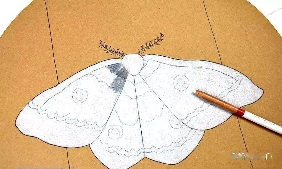 怎么用彩铅画飞蛾树上的飞蛾彩铅绘画步骤教程