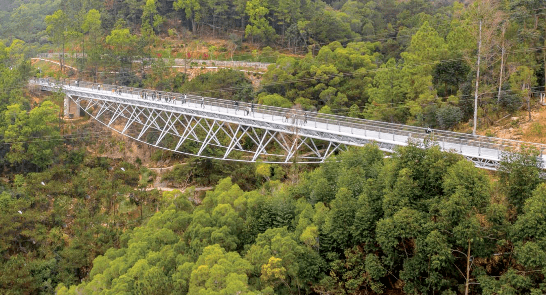 踏青賞美景山海健康步道這六大打卡路線請收好