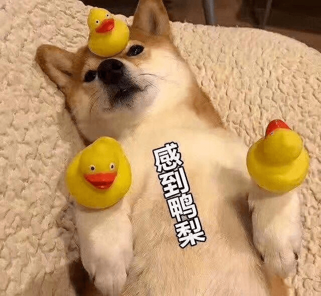 0f9e6fe857804273b10b313db93d7ecb.png