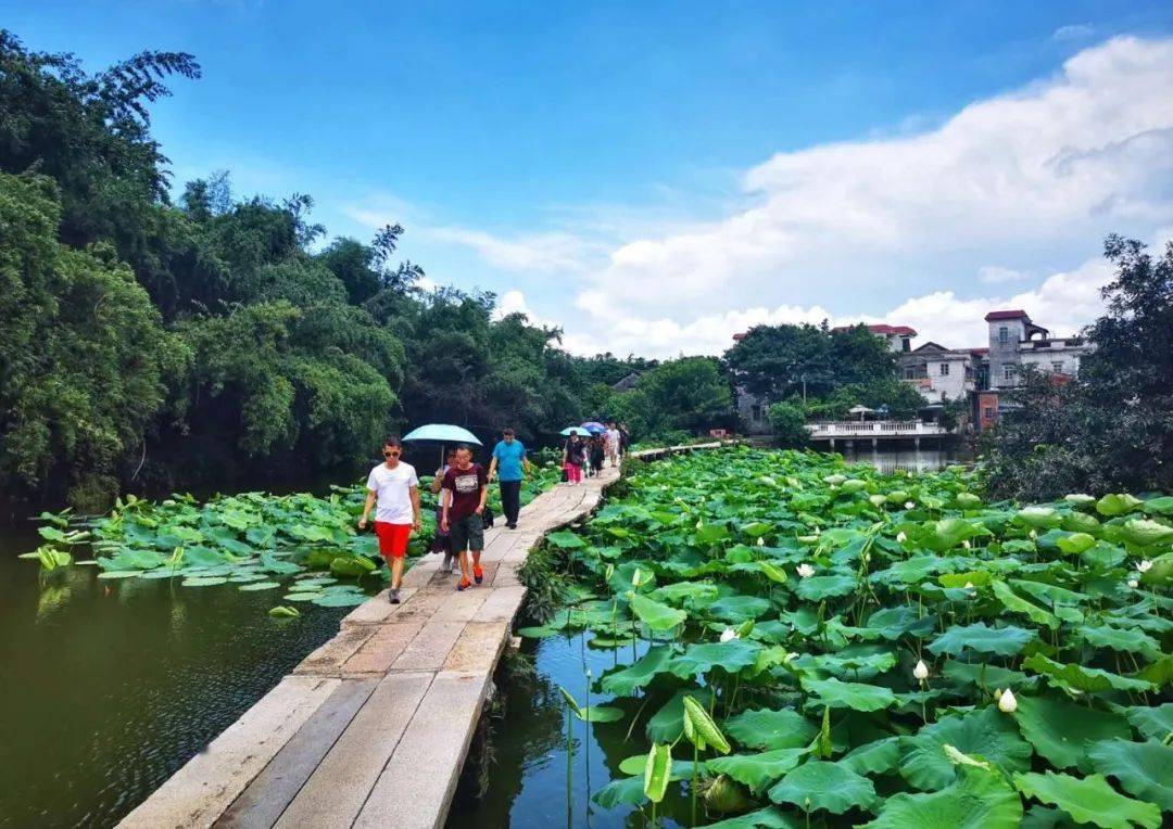 勒流黄连湿地公园图片