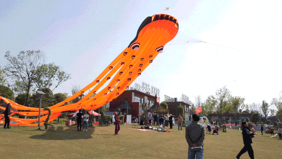 火炎焱燚了!超级风筝亮相白杨湖,全民打卡风筝周!