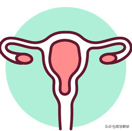 一次性使用无菌举宫器简介_子宫
