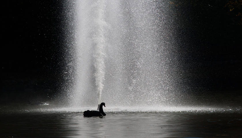 突遭黑天鹅 解密分众传媒这家千亿市值公司的闪