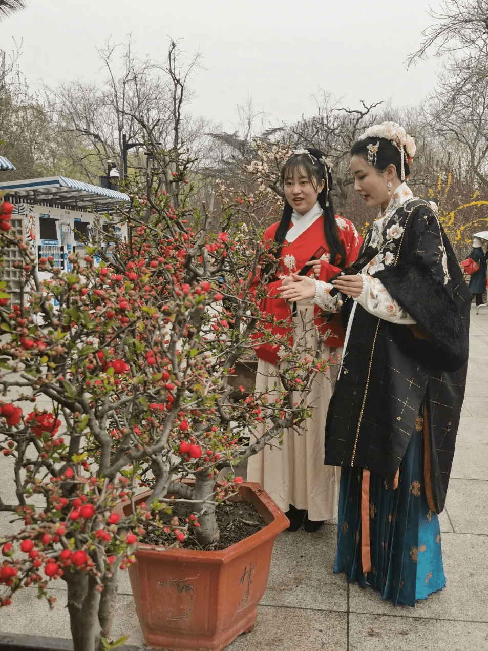 北京陶然亭公园第六届海棠春花文化季开幕首次开启晚间园林游览模式