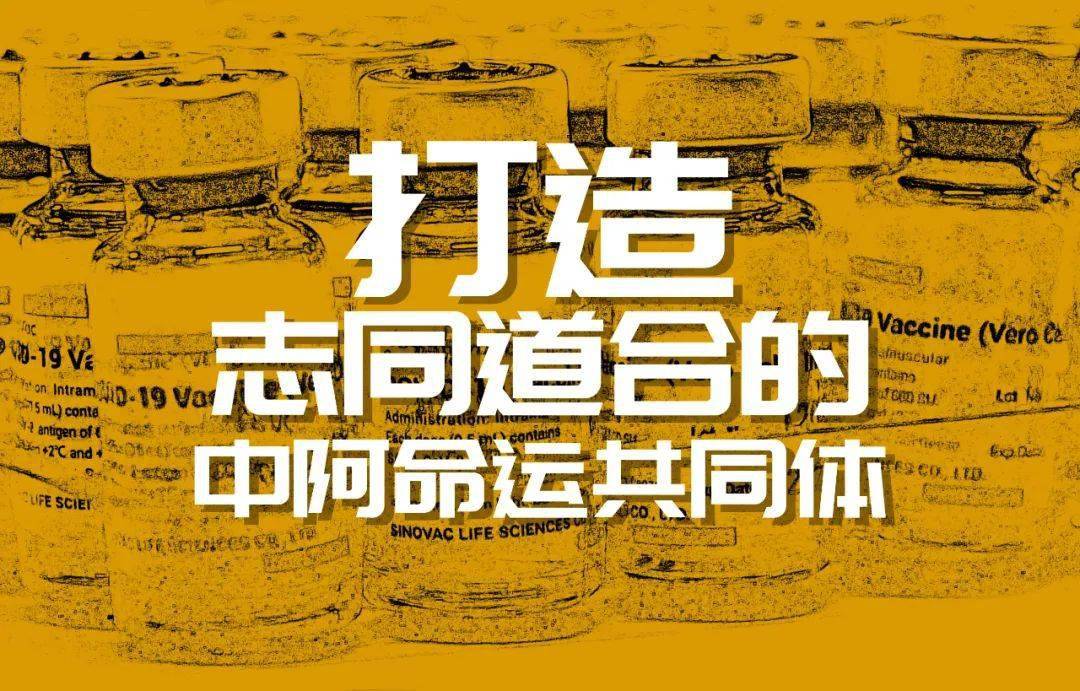 三个"共同体"明确中阿关系发展目标.