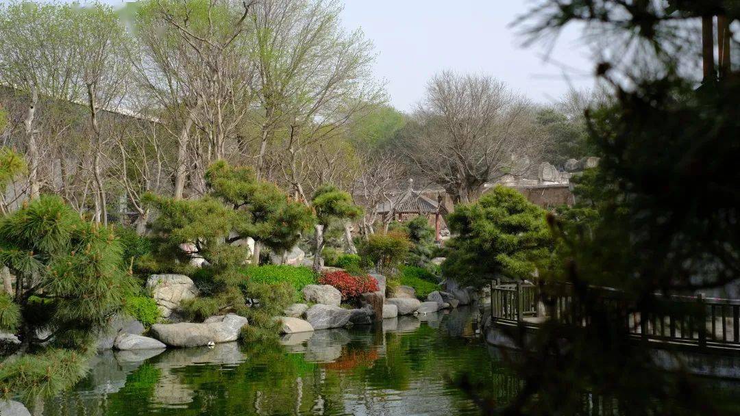这座藏在曲江唐风汉韵的隐秘园林,终于免费了～_唐苑
