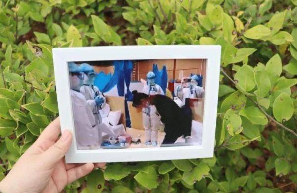 这位考研女孩的"方舱之约"实现了!_徐丹