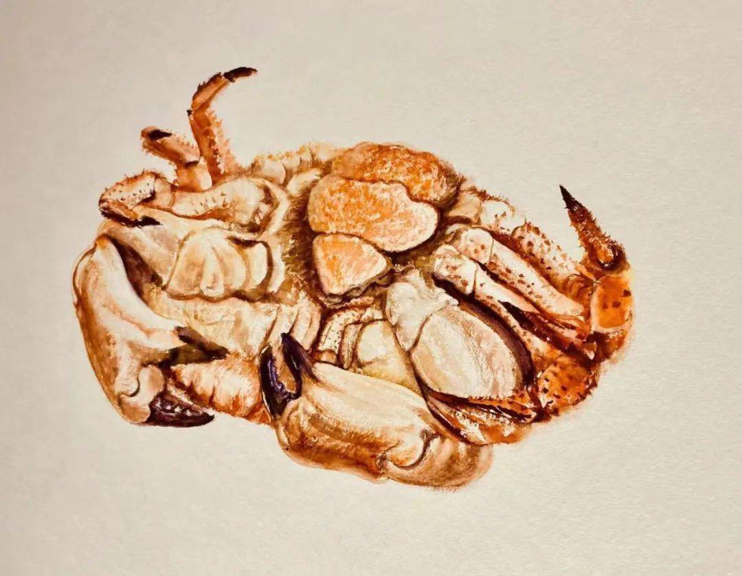 《面包蟹》 30×40cm纸本水彩 202074许延平《蒸梭子蟹》 30×40cm