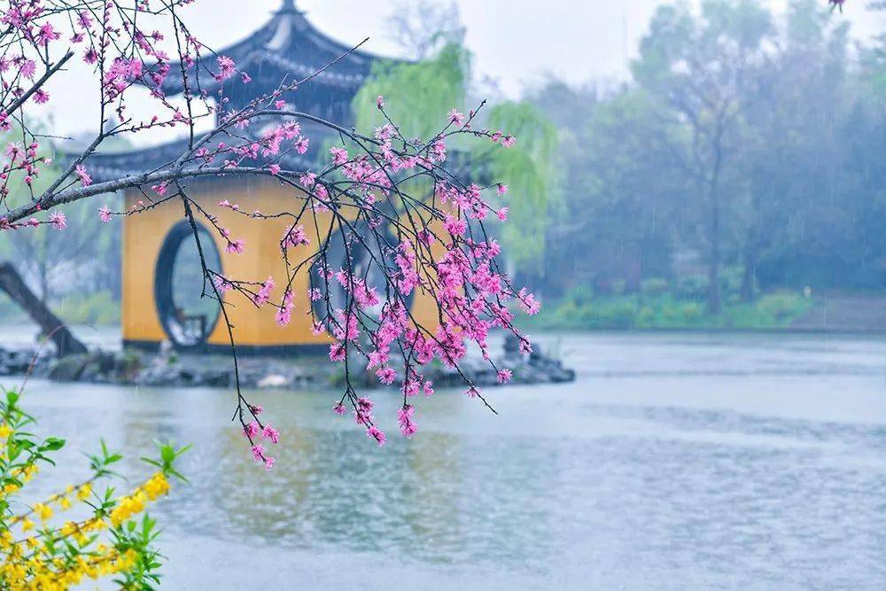 雨,雨,雨!扬州美成烟雨江南