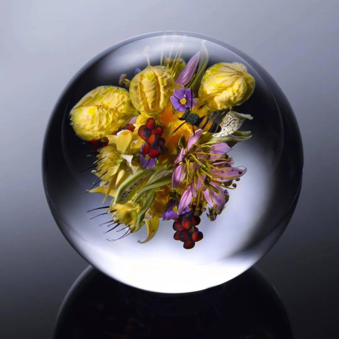 璃花植物与生命的艺术