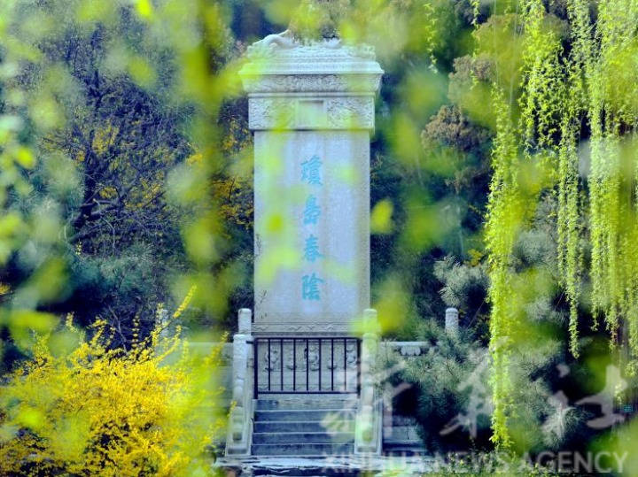 清明踏春赏花、打卡红色景点，北京市属公园推出40项活动