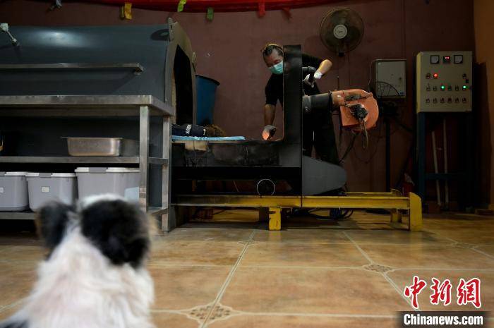 李诚宗使用环保火化炉为流浪狗火化. 俞靖 摄