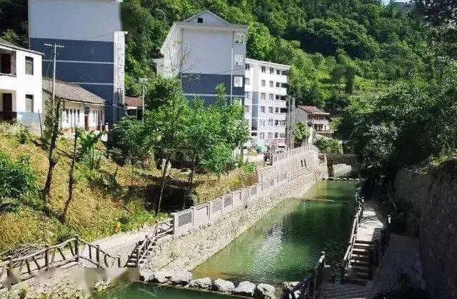 要闻|乐素河镇:"扇把子"种下去 "山沟沟"美起来