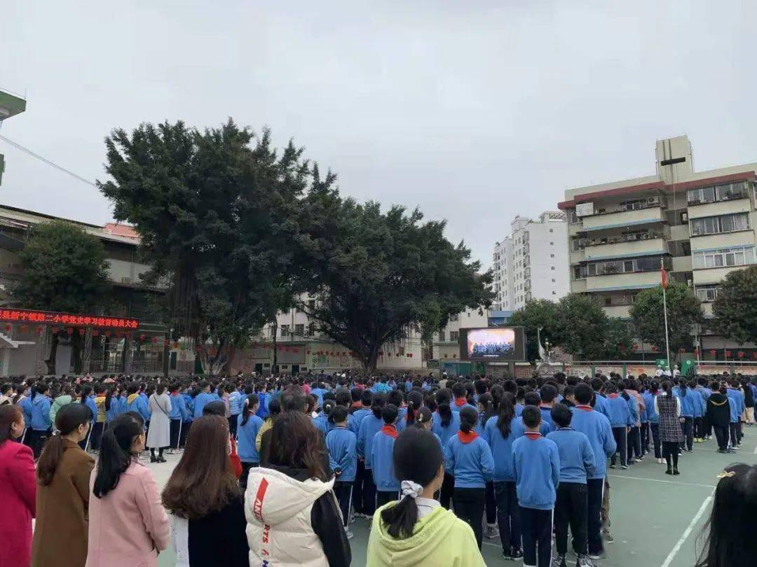 (民族小学)(山圩中心小学)(实验学校)(龙华中学)(东门镇中)红领巾心向