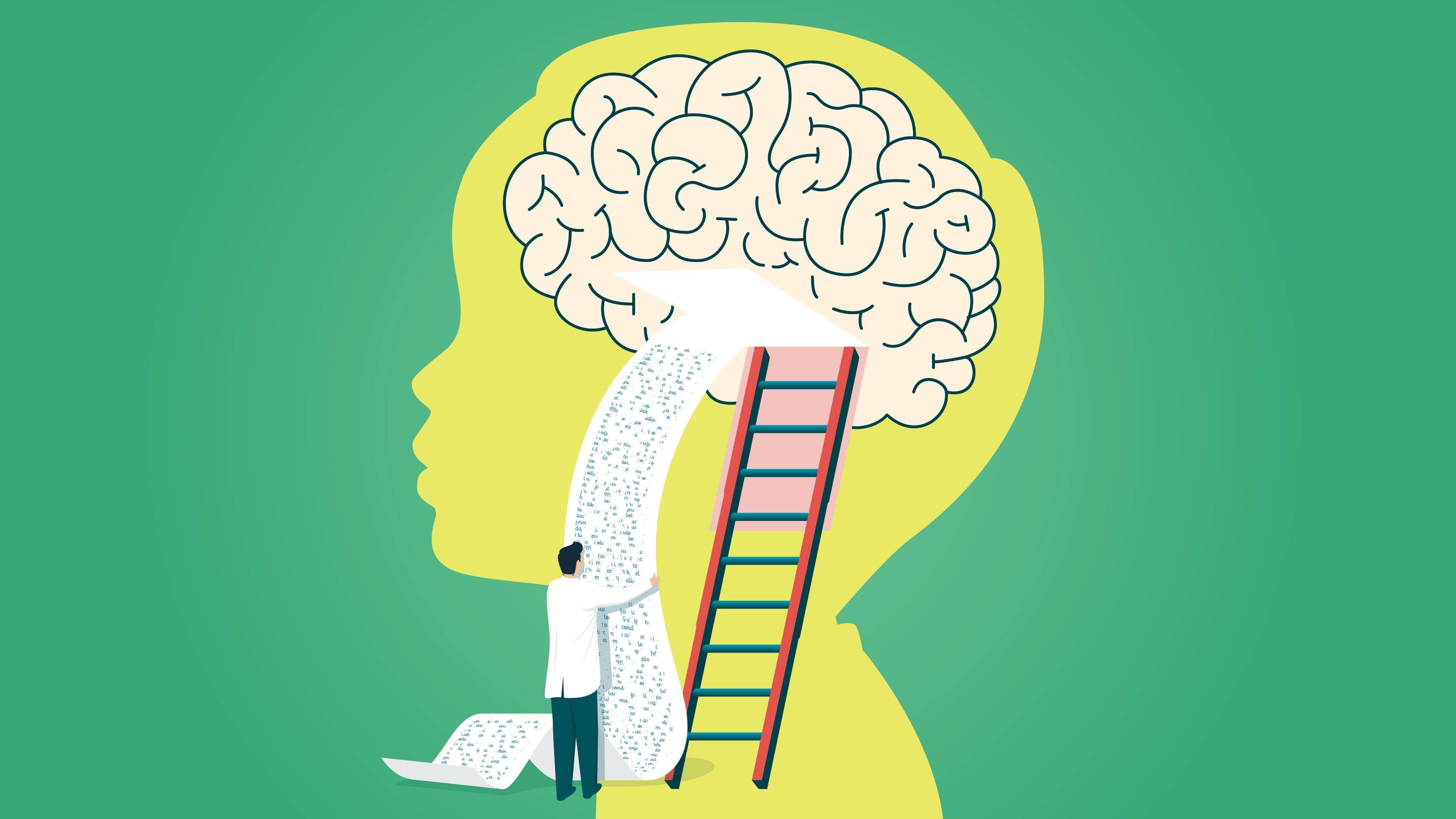 高糖饮食可能损害儿童大脑学习记忆能力的发育_海马