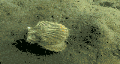 400_213gif 动态图 动图