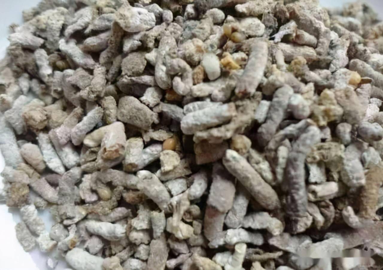 老农说:"麻雀屎,是个宝,饲养家猪不能少",究竟是怎么回事?_粉末