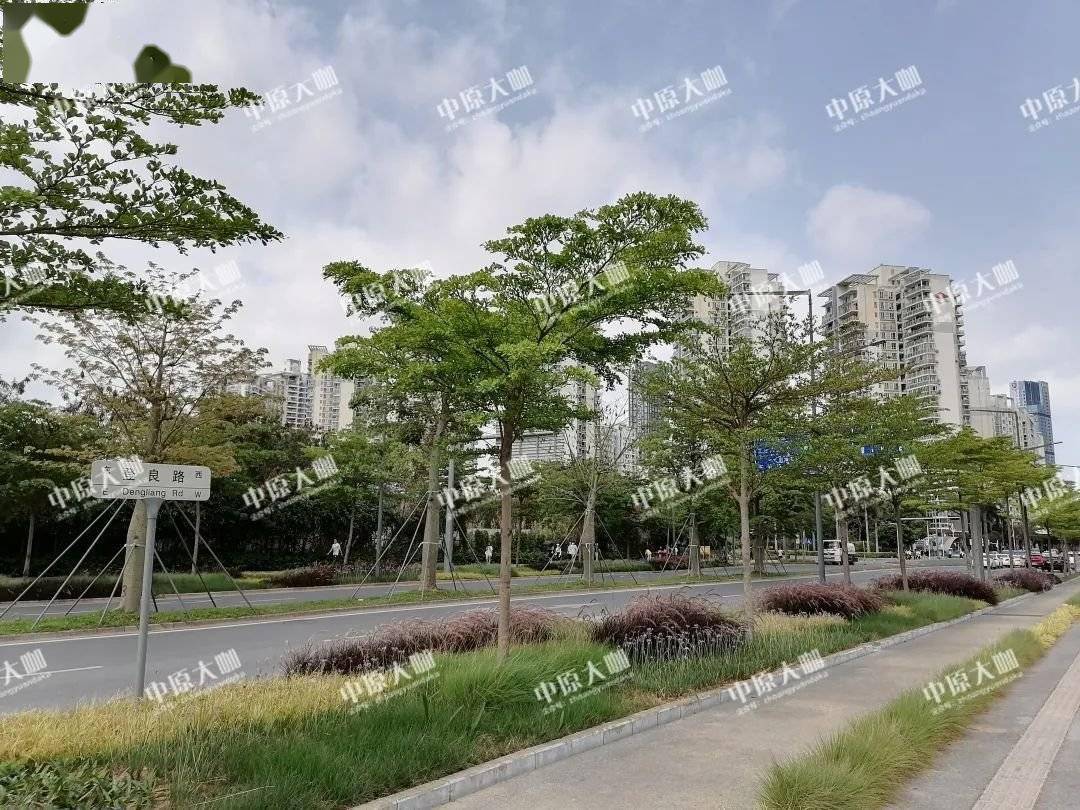 "最牛街道"后海村旧改规划草案出炉!近30万平住宅上新