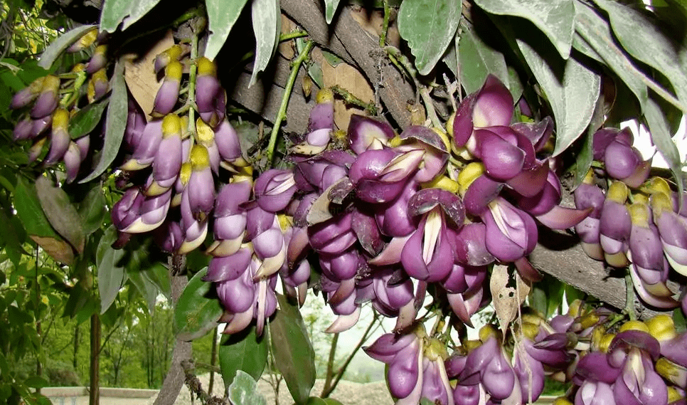 看完才知道,剧中的人设太真实了!_白藤