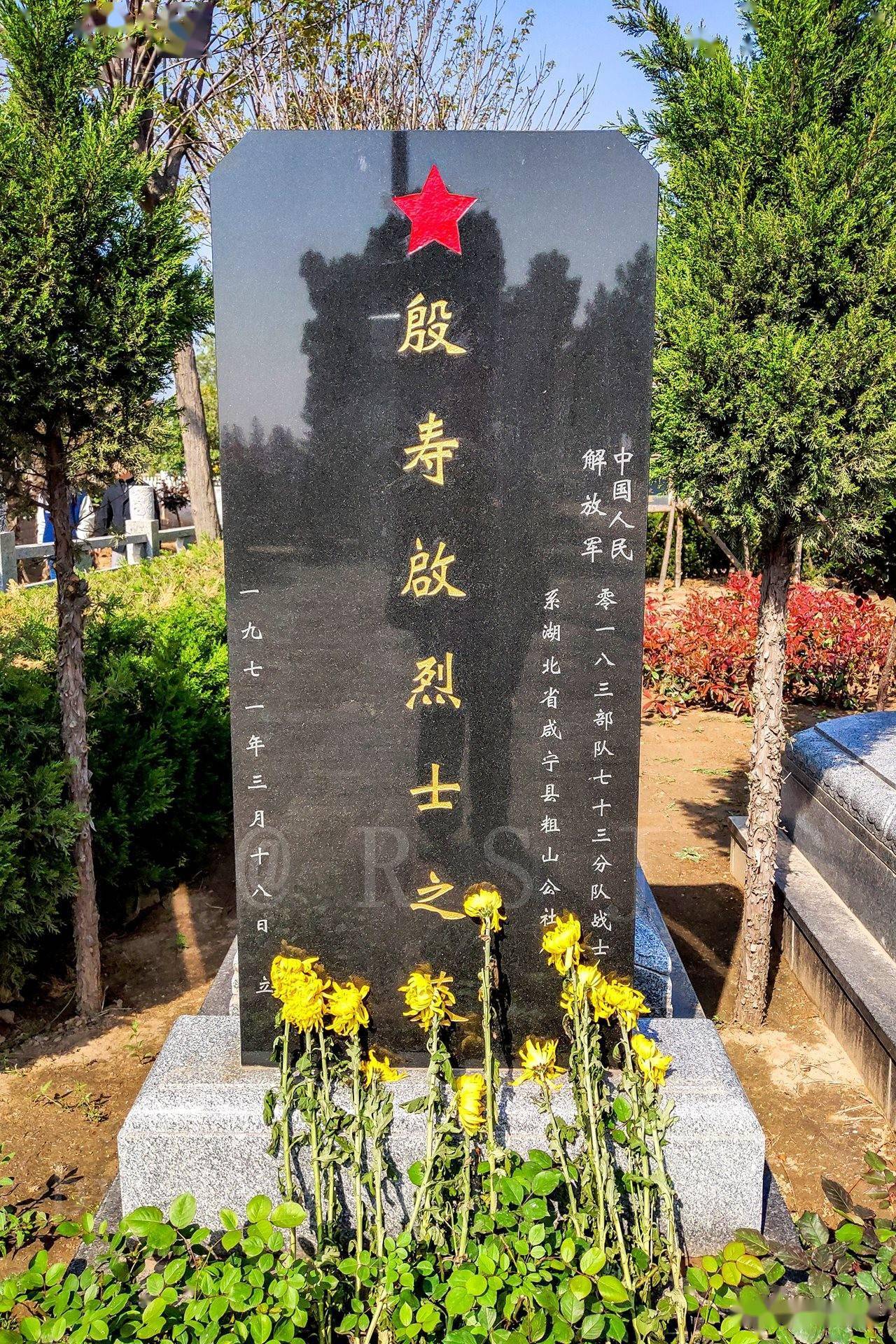 沂南县王家独树人口_沂南县人民医院(2)