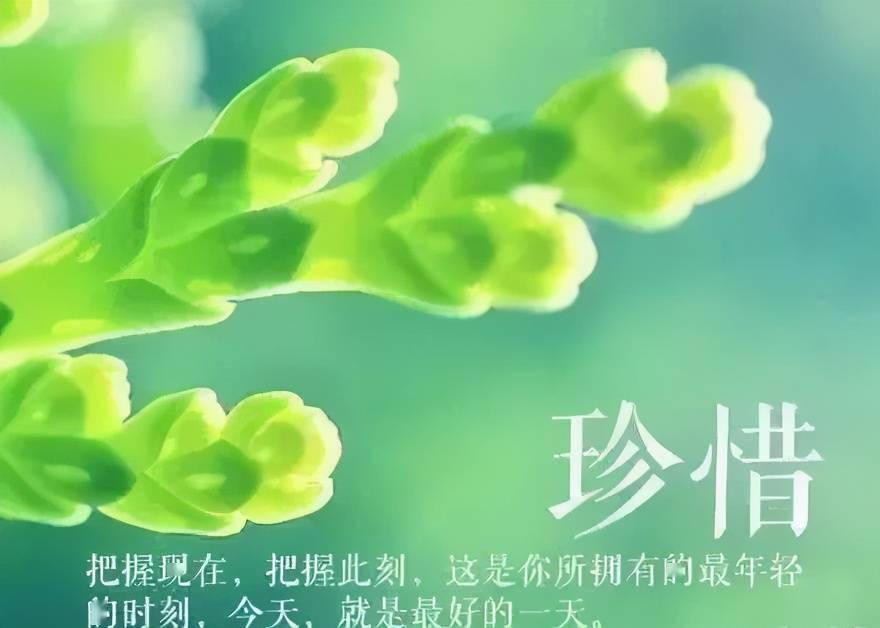 所以趁還來的及好好珍惜,親情,友情,愛情……早安!更多的精彩情感