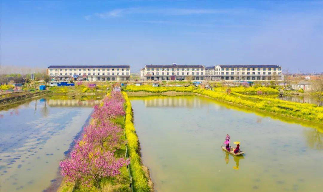 春色最浓在田间人勤春早农事忙泗洪县双沟镇雪三村高效农业示范基地一