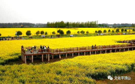 平顶山市生态园简介图片