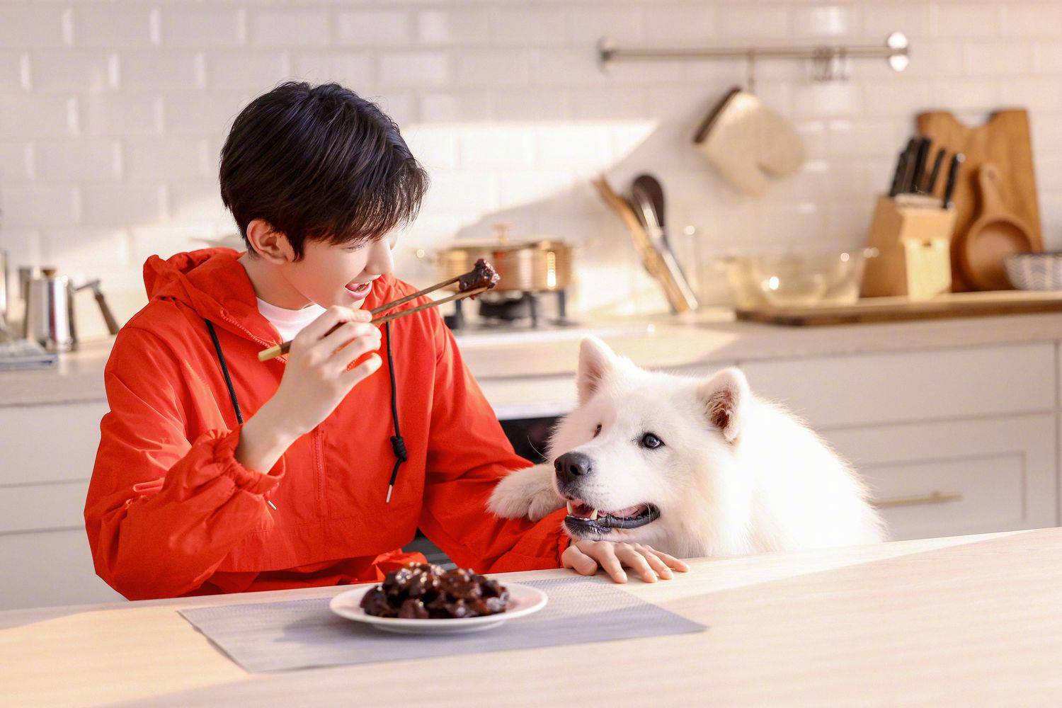 分享与小动物们在一起的王源真是隔着屏幕都能感受到的开心