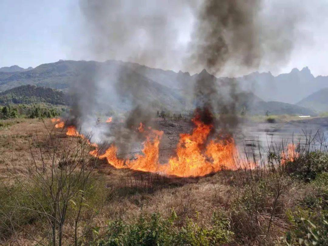 天天看池州清明祭祀违规用火九华山风景区警方行政拘留1人