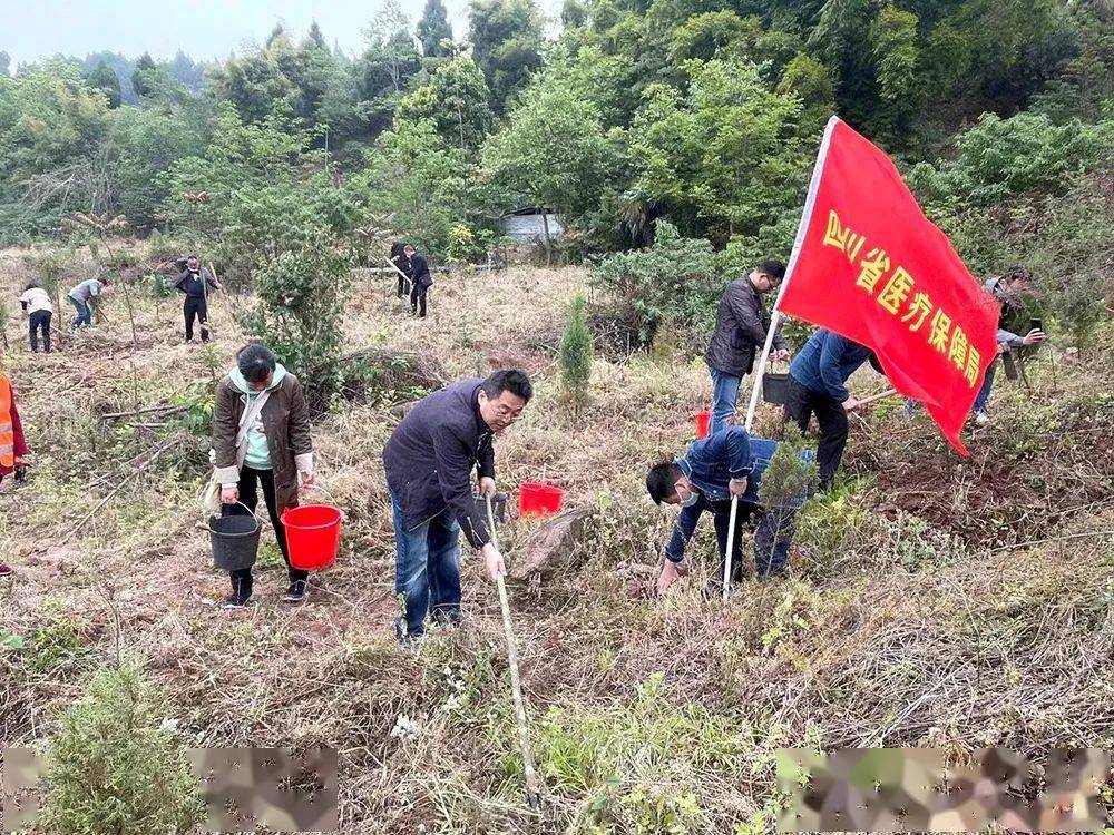 省医疗保障局组织干部职工开展“包山头”植树劳动